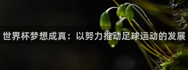 2026 世界杯:世界杯梦想成真:以努力推动足球运动的发展