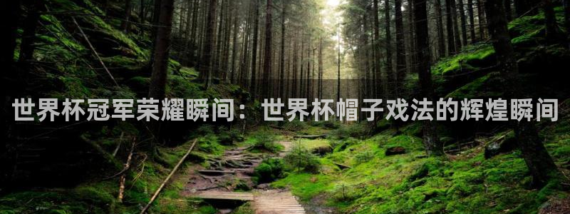 世界杯足球比赛：世界杯冠军荣耀瞬间：世界杯帽子戏法的辉煌瞬间
