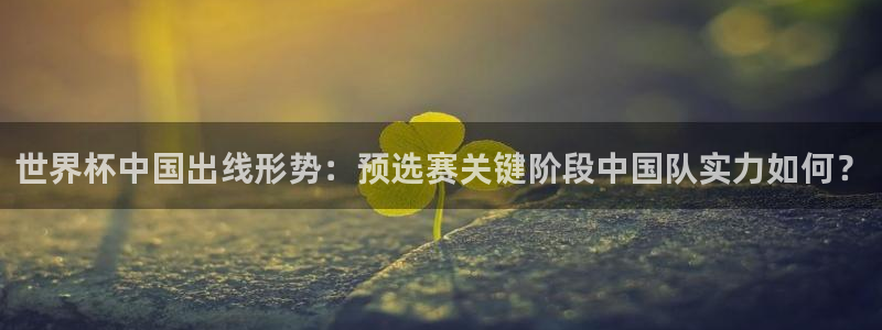 世界杯今日赛程直播:世界杯中国出线形势:预选赛关键阶段中国队实力如何?