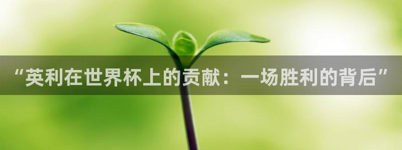 世界杯欧洲预选赛赛程：“英利在世界杯上的贡献：一场胜利的背后”