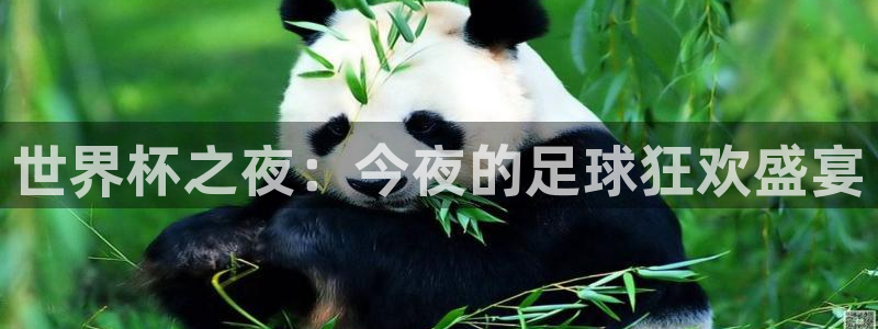 世界杯直播：世界杯之夜：今夜的足球狂欢盛宴