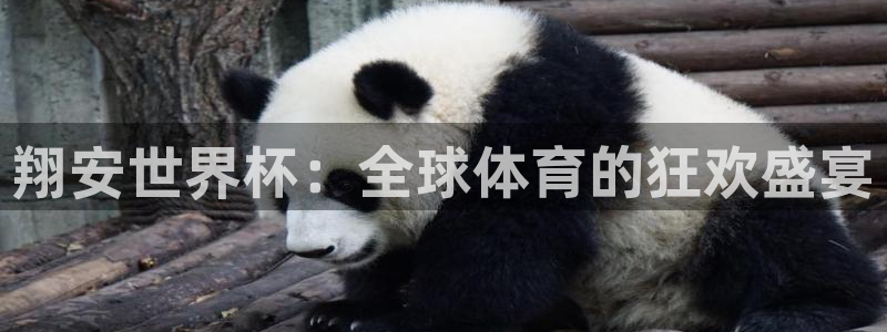 世界杯小组赛赛程：翔安世界杯：全球体育的狂欢盛宴