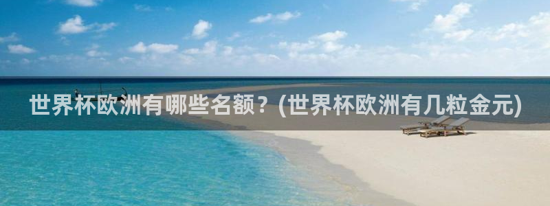 2026年世界杯时间表：世界杯欧洲有哪些名额？(世界杯欧洲有几粒金元)
