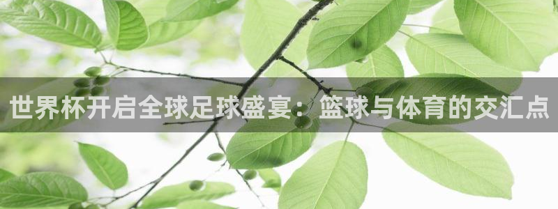 2006世界杯:世界杯开启全球足球盛宴:篮球与体育的交汇点