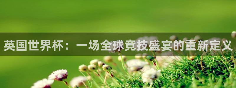 世预赛直播：英国世界杯：一场全球竞技盛宴的重新定义