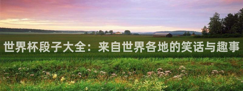 世界杯亚洲区预选赛：世界杯段子大全：来自世界各地的笑话与趣事