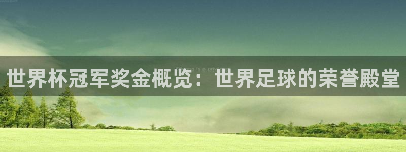 2026世界杯赛：世界杯冠军奖金概览：世界足球的荣誉殿堂