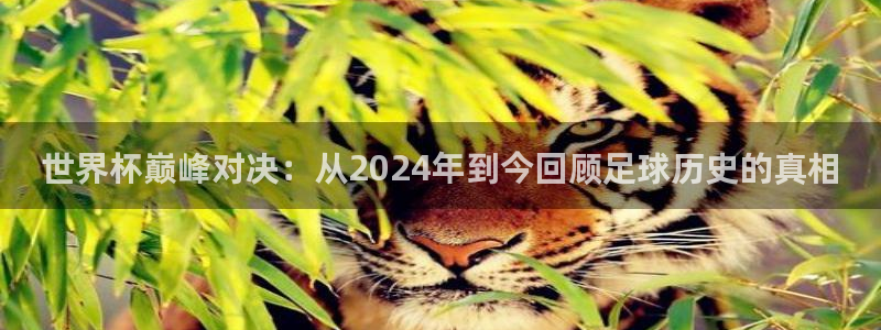 2026年世界杯赛程表时间：世界杯巅峰对决：从2024年到今回顾足球历史的真相