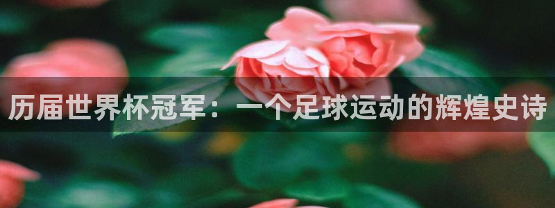 世界杯在线直播：历届世界杯冠军：一个足球运动的辉煌史诗